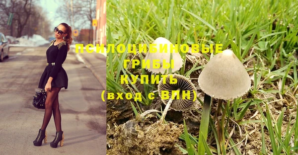 спиды Баксан