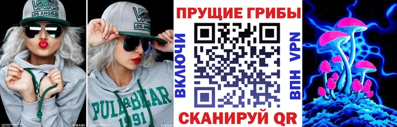 Псилоцибиновые грибы прущие грибы  Зима 