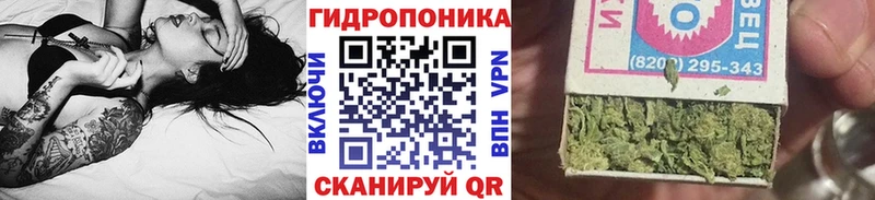 гидра онион  Зима  Шишки марихуана VHQ 
